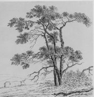 B186839