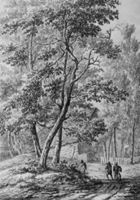 B186867