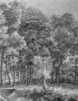 B186884