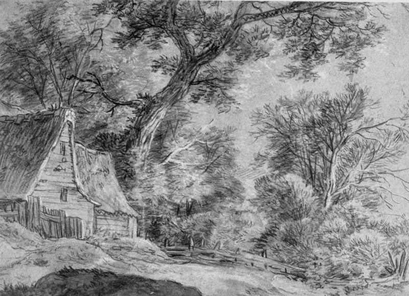 Boerderij tussen de bomen
