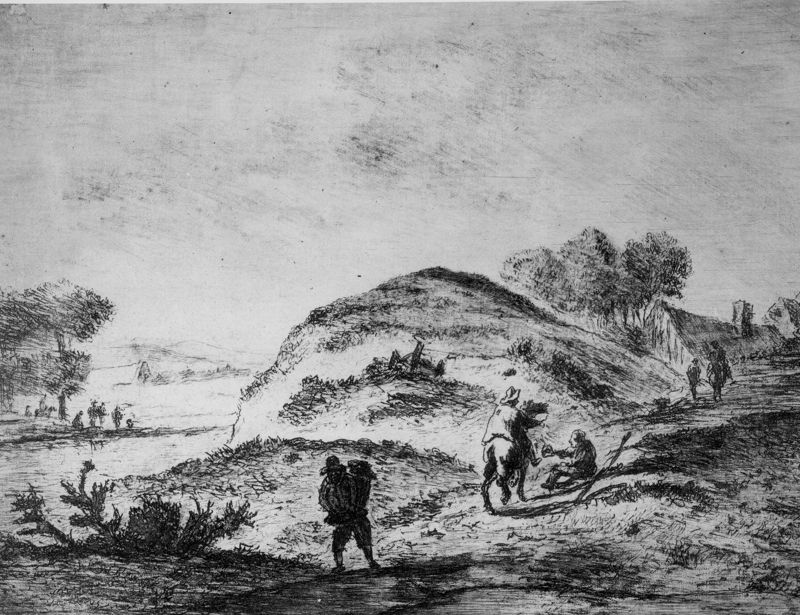 Hollandse duinen