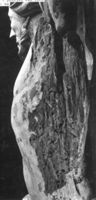 B186931