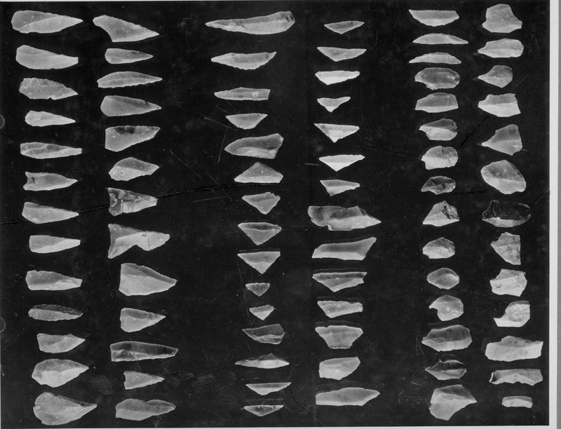 30 lamelles appointées à bord abattu