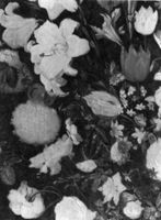 B188239