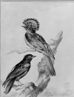 B188391