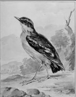 B188392