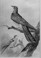 B188398