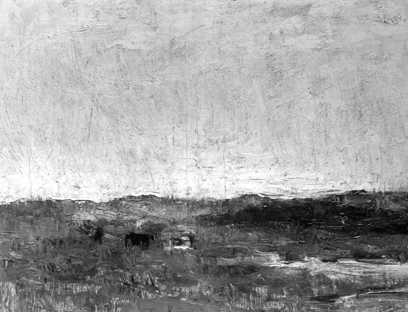 Vaches dans les dunes