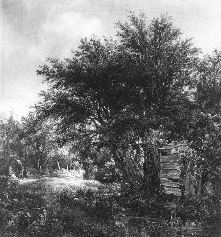 De Wilgen