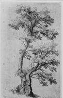 B188591