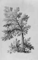 B188594