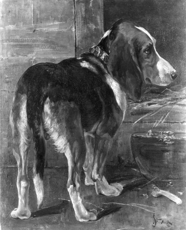 Le basset