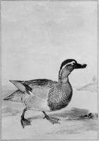 B188663