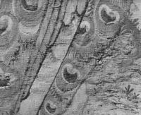 B189307