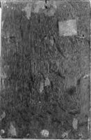 B190205