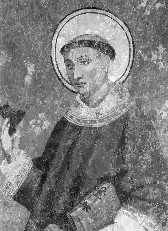 De H.Lucas en de H.Stefanus