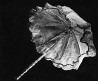 B192163