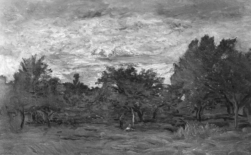 Landschap