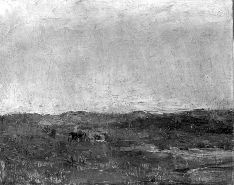 Vaches dans les dunes