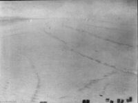 B194545