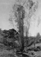 B194567