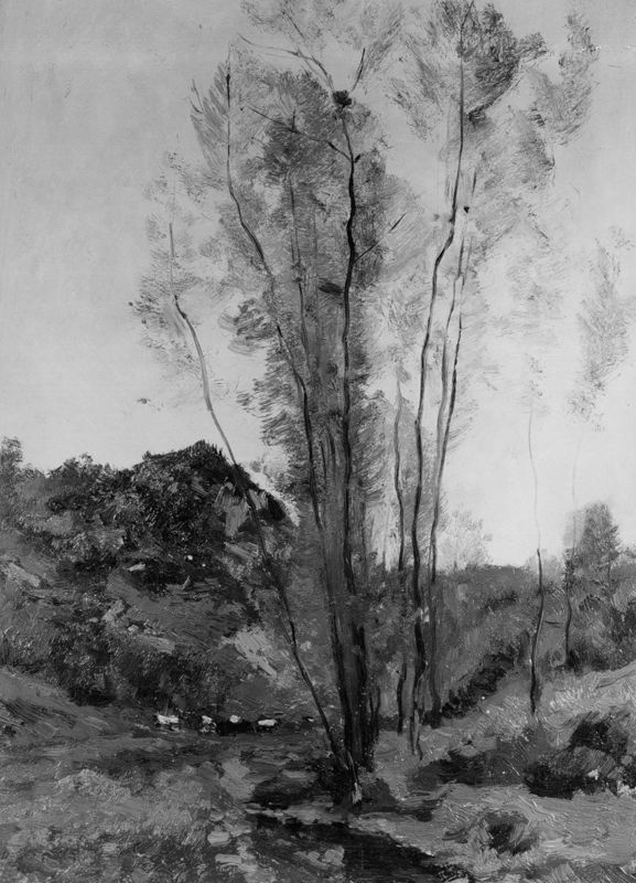 La valléé
De vallei