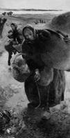 B194583
