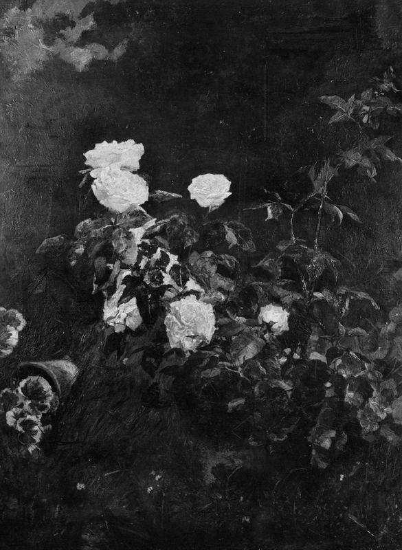 Rozen