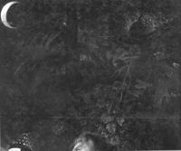 B195073