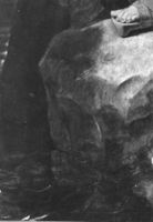 B195081