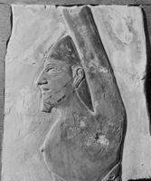 B195251