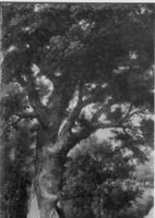 B195283