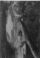 B195286