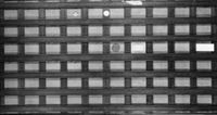 B195705