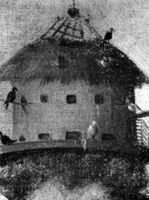 B195896