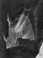 B195949