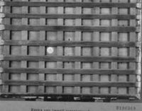 B196369