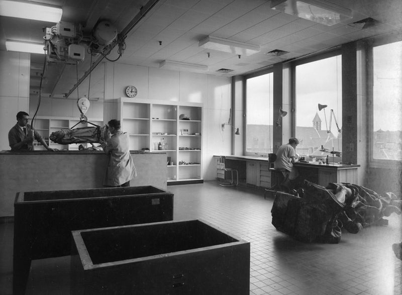 Koninklijk Instituut voor het Kunstpatrimonium
