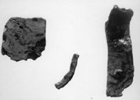 B197469