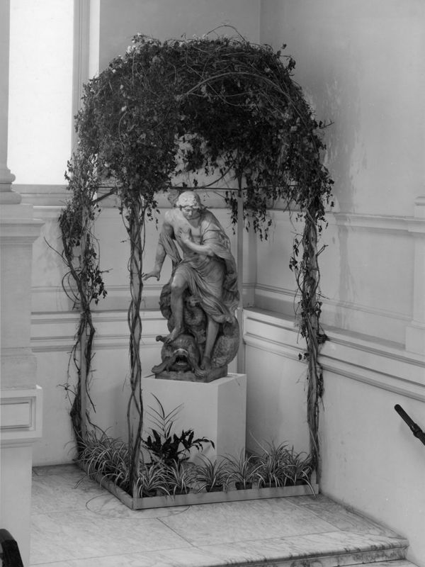 Narcisse