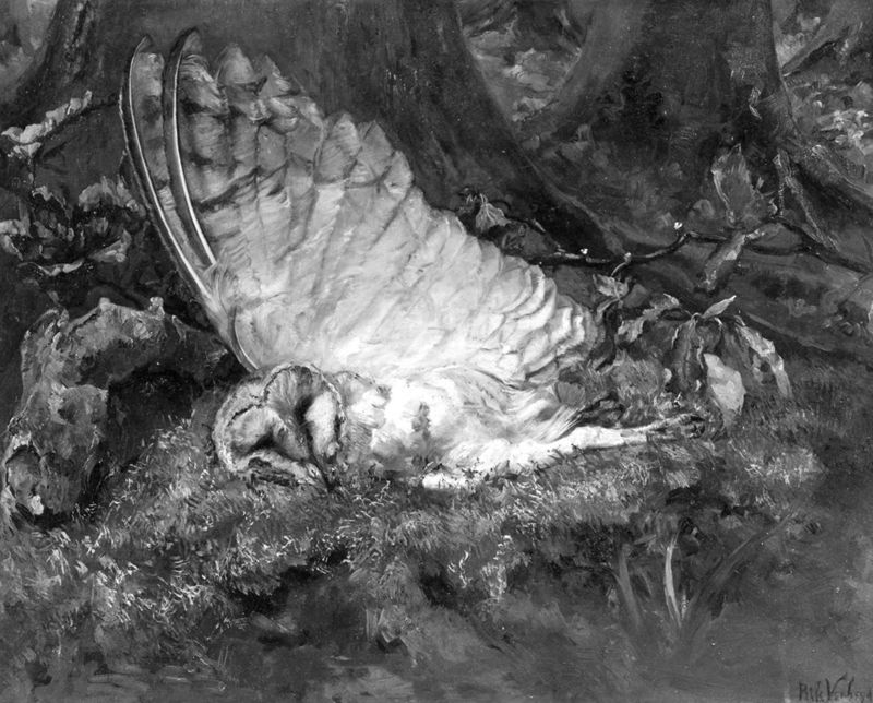 Gibier (hibou mort)