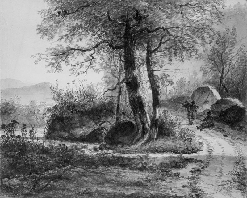 In het bos