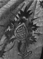 B202082
