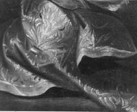 B202117