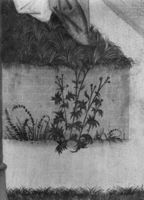 B202752
