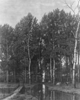 B203153