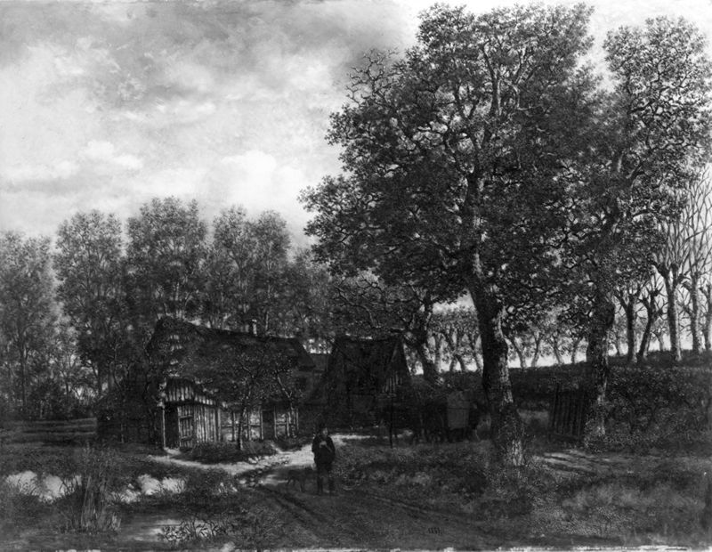 Paysage