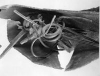 B203596