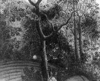 B203685