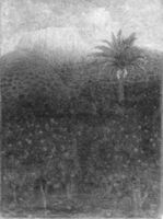 B203913